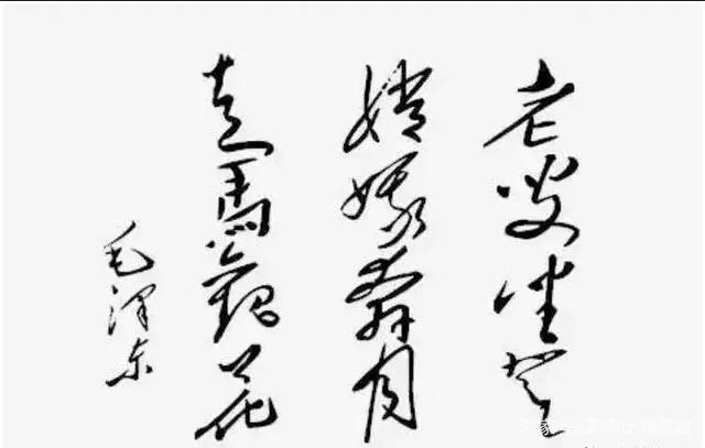 真相大白：老叟坐凳，嫦娥奔月，走马观花

1961年5月25日，美国总统约翰·肯