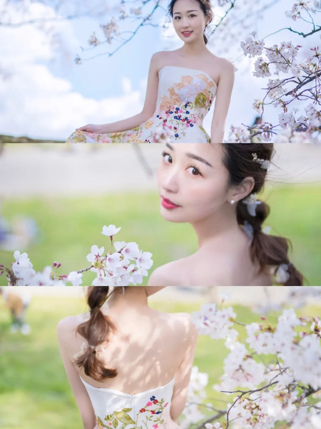 我在樱花的回音里遇见了你🌸