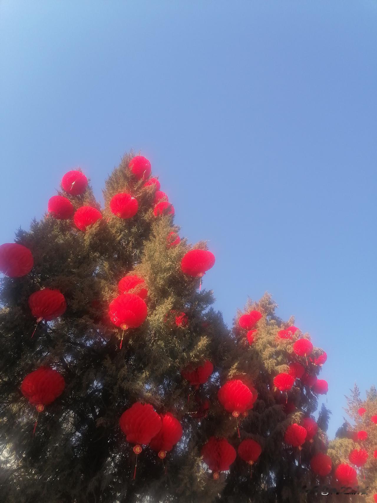 过年很累，听一段脱口秀，哈哈一笑，疲惫全消。

开始：过年家庭聚会，最重要的技能