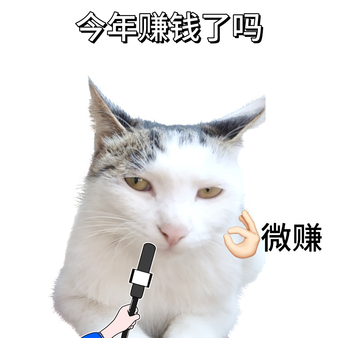 博主理财一个月收益不如余额宝 实际上五个都亏了，只是一个靠汇率差扳回了一成，太戏