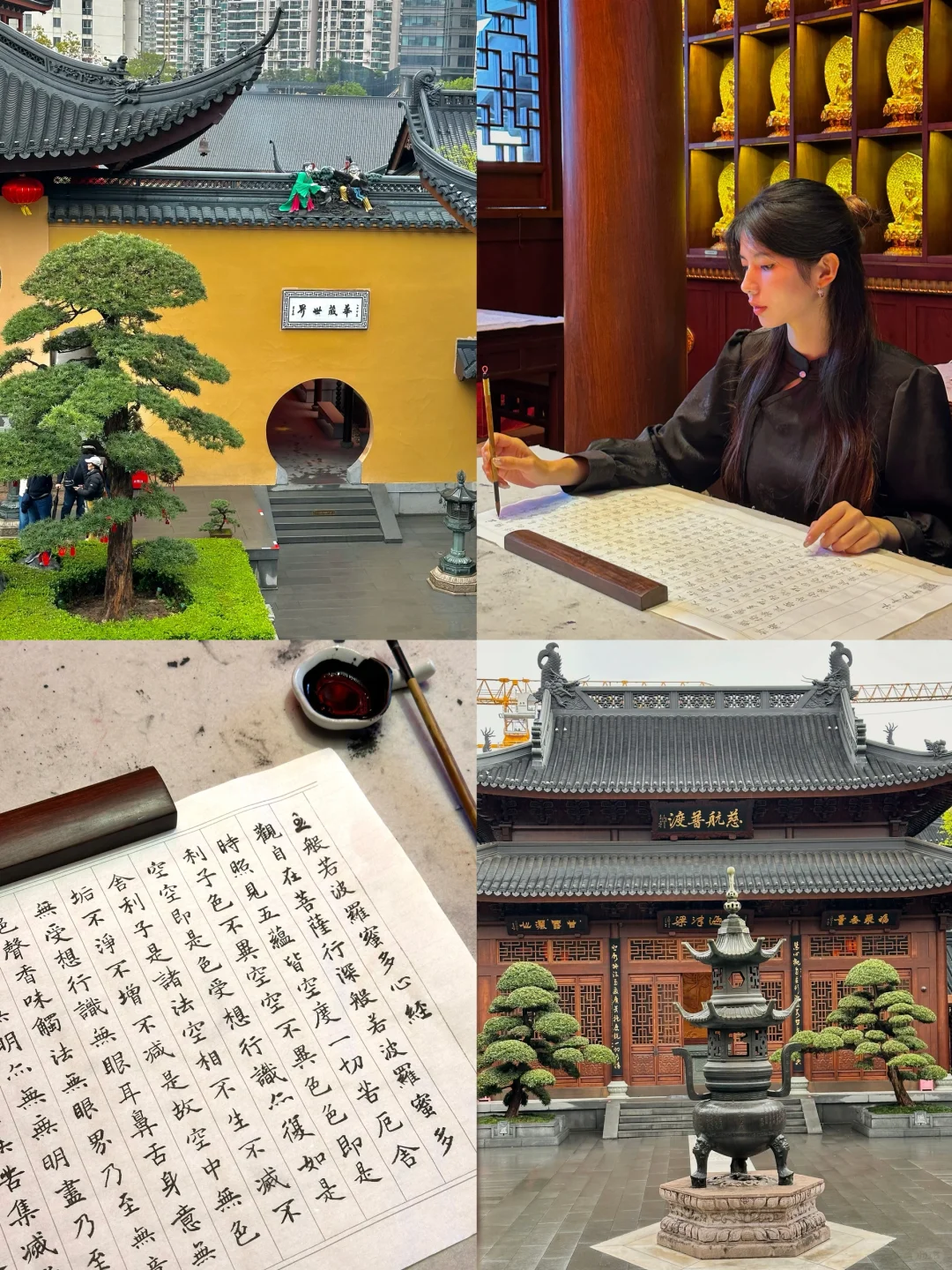 上海｜免费抄经好去处✍️养心撸猫吃素面🐈
