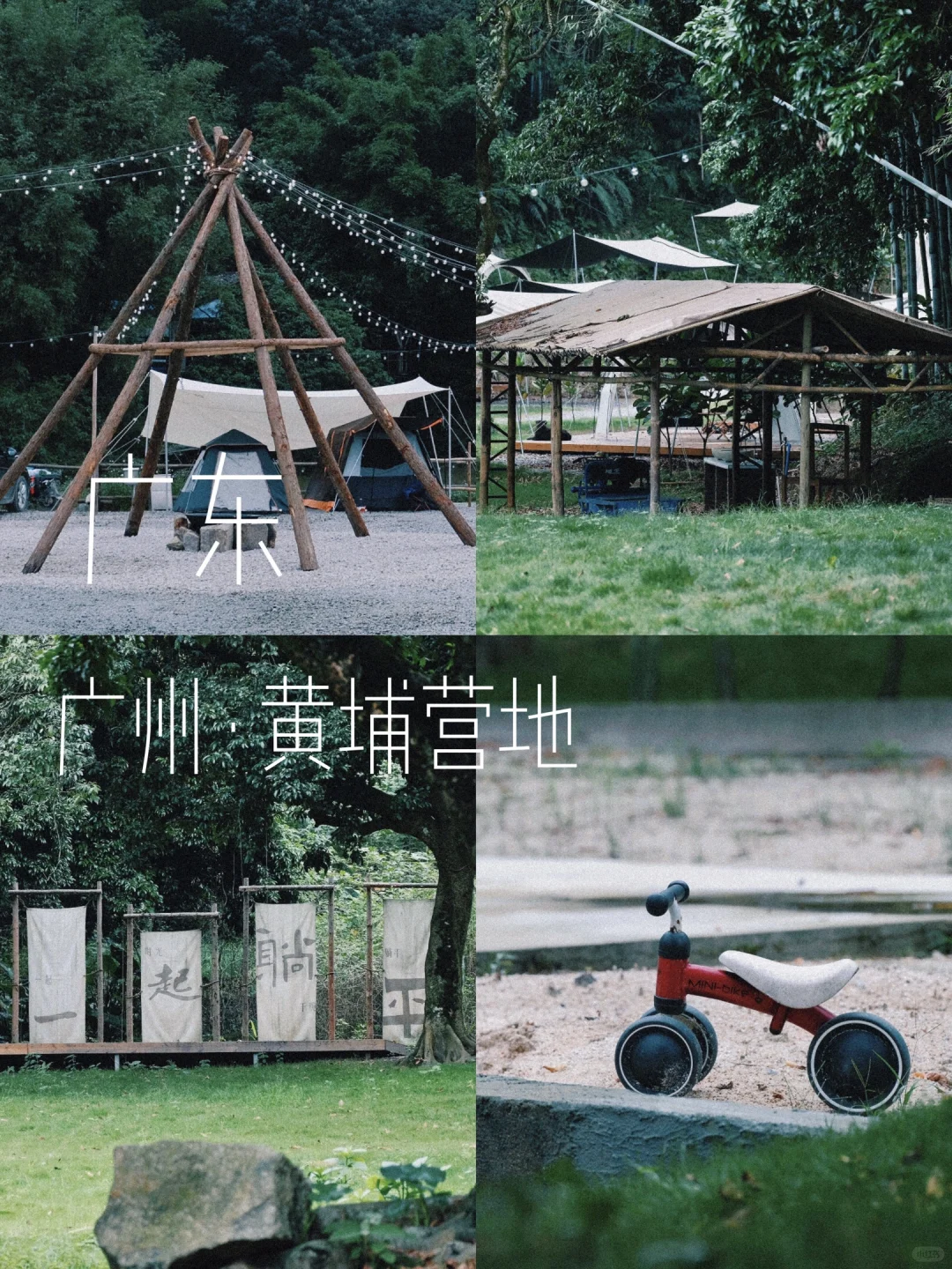 广州新开🏕离尘不离城、在森野尽情撒欢