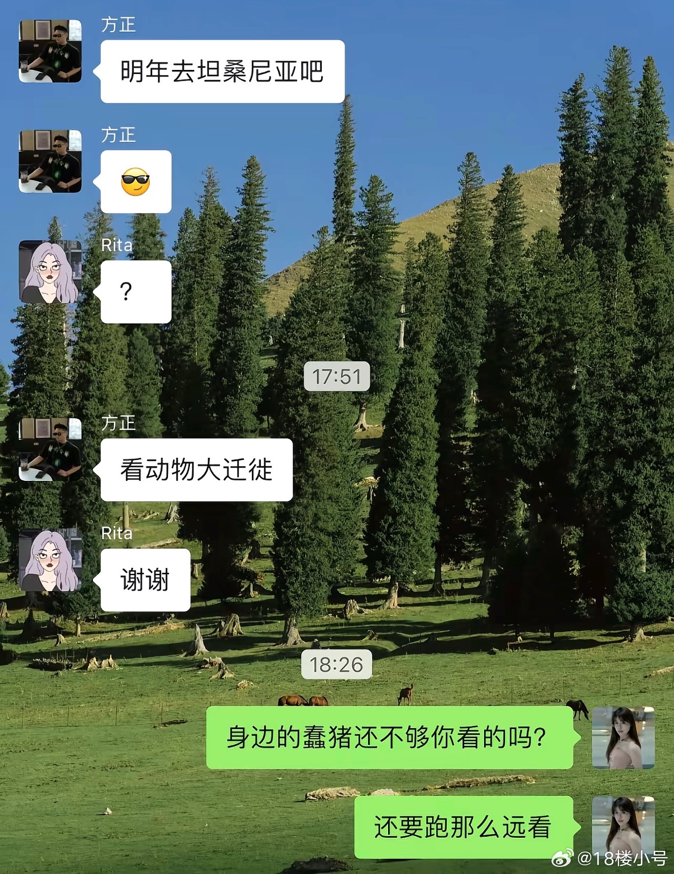 《身边的春🐷还不够你看的吗》哈哈哈哈哈哈哈哈哈哈哈哈哈哈哈哈哈哈哈哈哈哈哈哈哈
