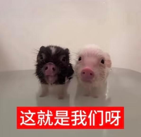 八月和💕 