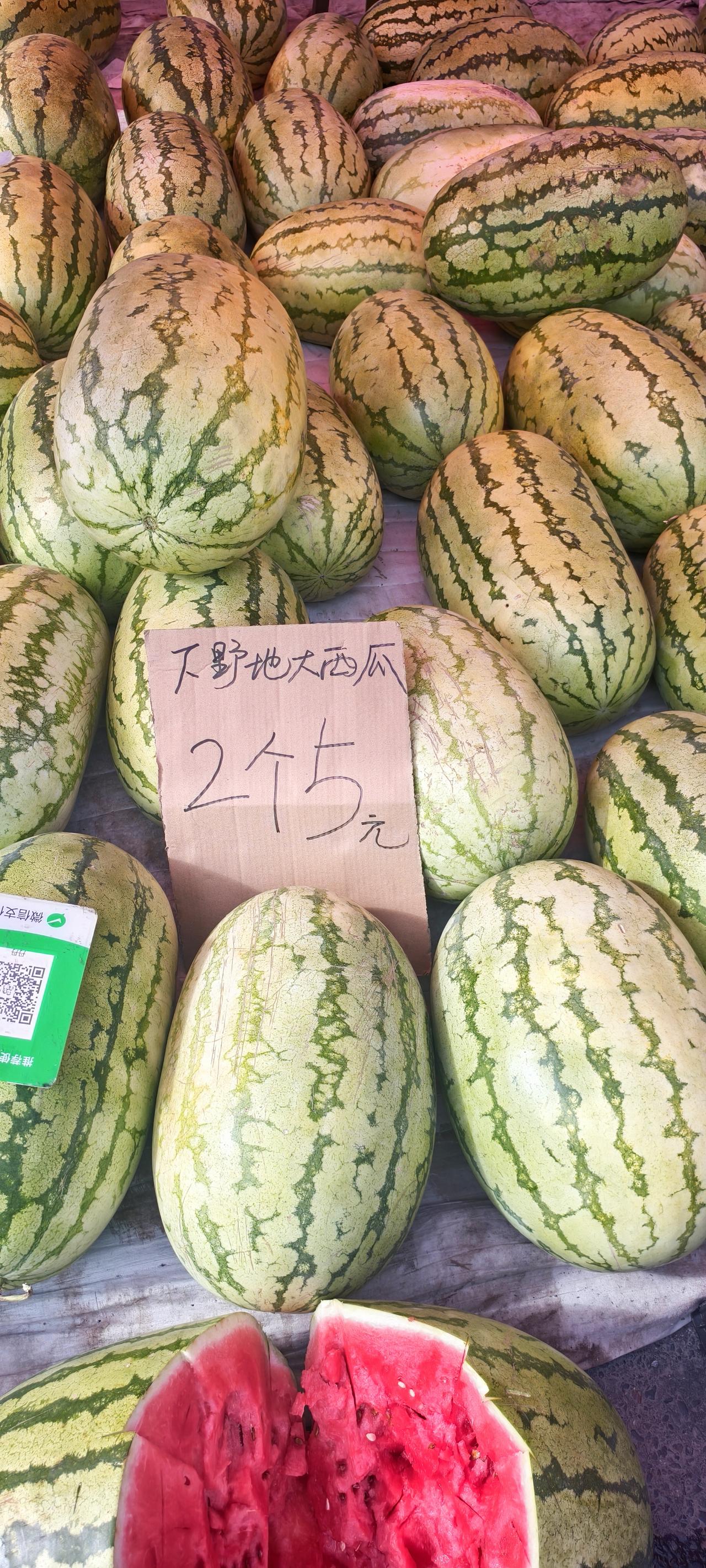 我们奎屯市如今售卖的皆是下野地那种二十多斤重的大西瓜。基本上不按重量称，而是论个