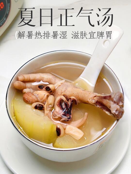 唯一让我连汤渣都要啃光的汤🤤超适合夏季喝