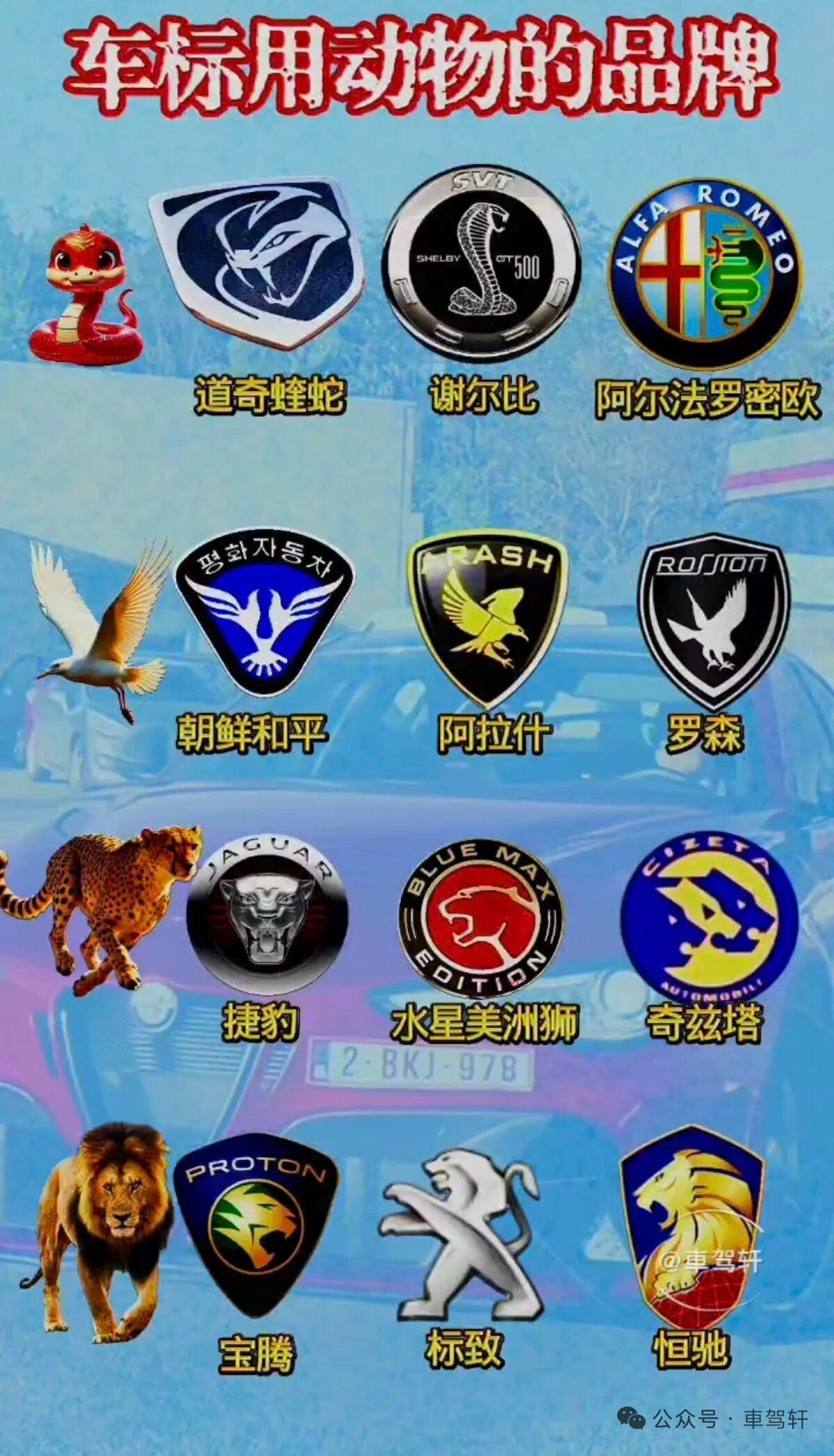 车标映动物，
品牌显神韵
