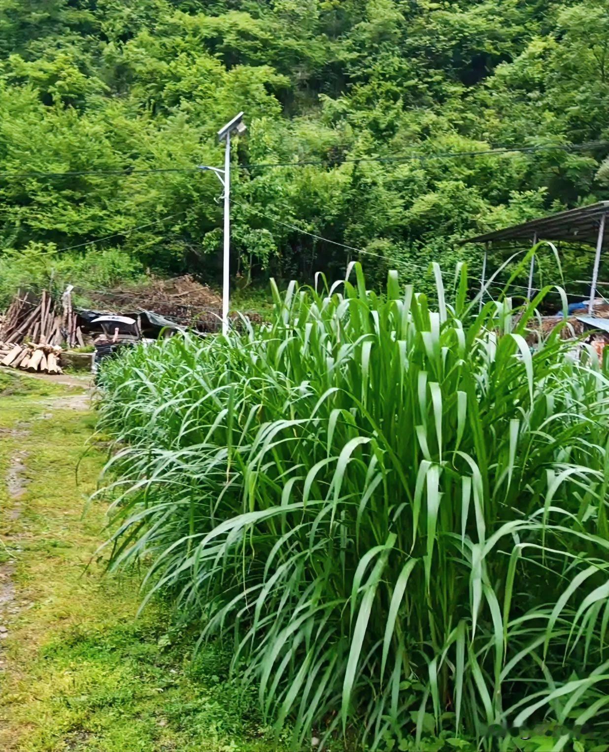 四十岁失业该找啥工作？四十岁失业，像是人生突然被按了暂停键，但别忘了，你攒下的经