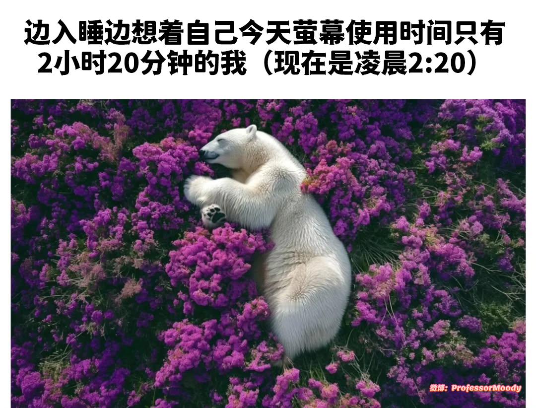 昨晚的我： 