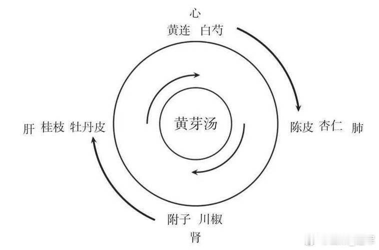 一个“宝藏”方剂——资生丸，集中了四君子汤、参苓白术散的优点中医药方阵里，补益剂