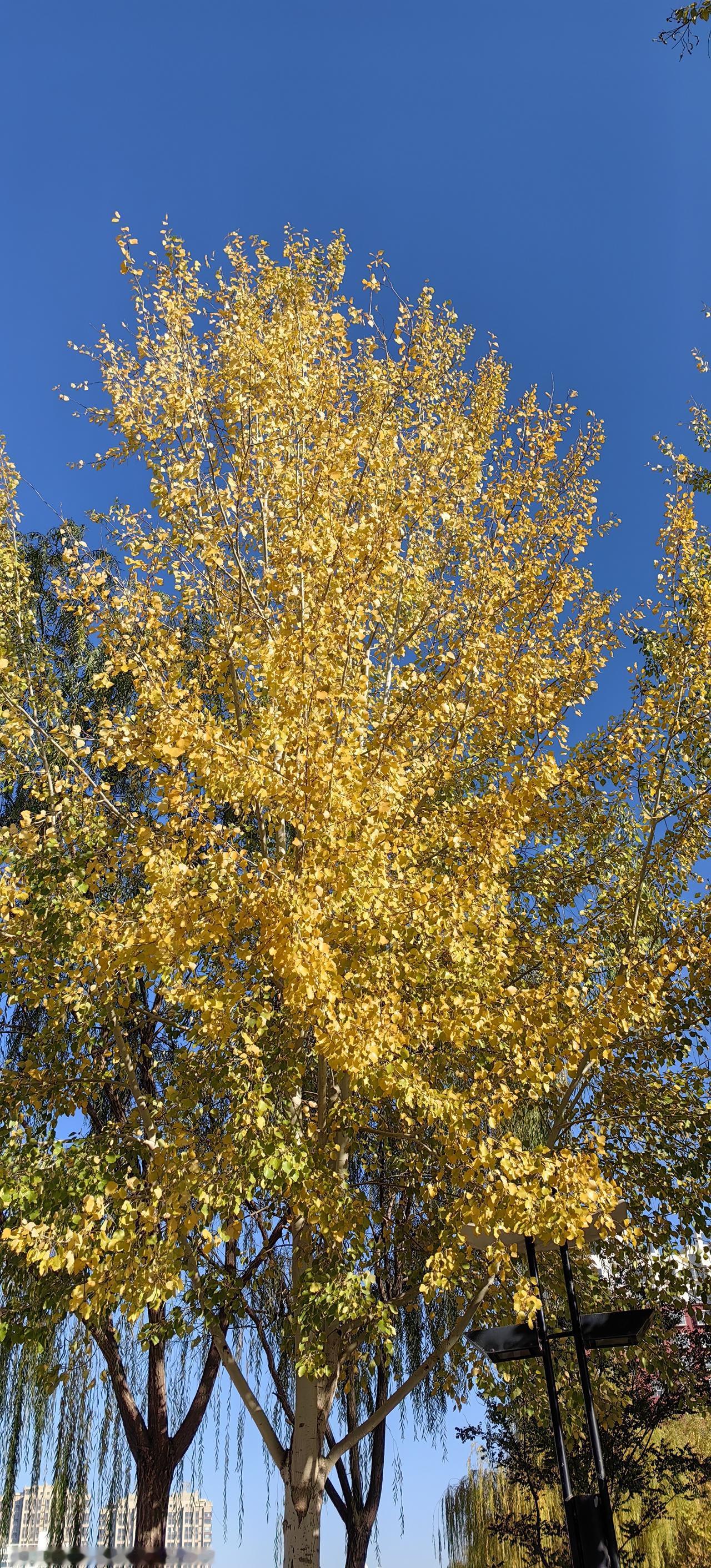 冬日生活打卡季