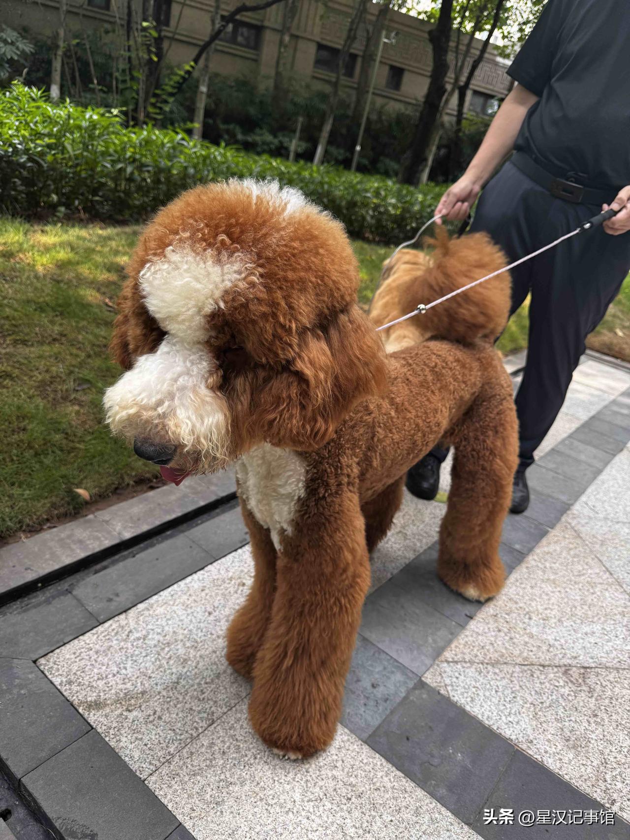 有时候我会在想，那些慢慢和我们渐行渐远的人，未必是后来才改变的。只是过去相处的环