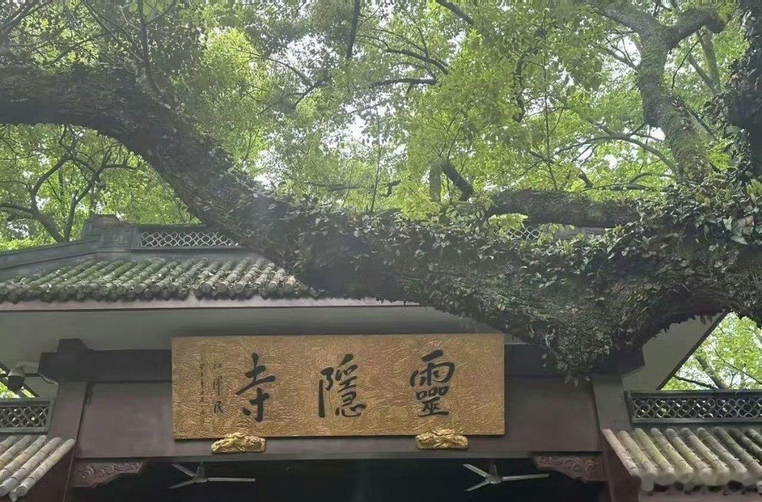 国产算力“全家桶”，十大核心赛道值得一看一、算力芯片TOP1：寒武纪TOP2：景