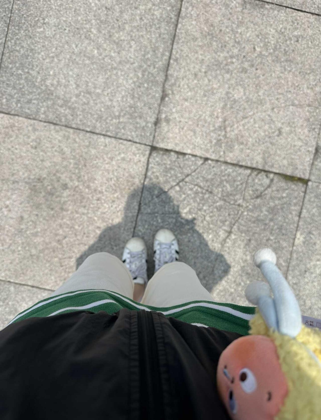 说好的下雨呢
太阳明晃晃的在我头上
和我差不多形成了一条线
厦门