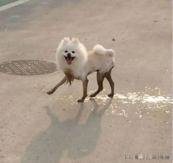 我还以为穿了黑丝袜