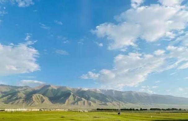 1950年，新疆爆发了震动西北的大叛乱，我们用多久就完成了平叛？

新疆这片土地