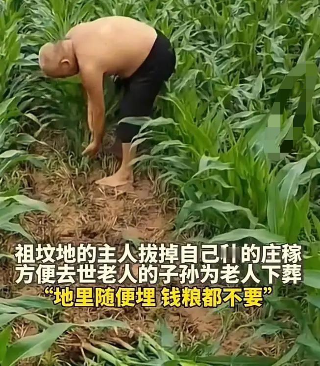 这就是格局！山东，一老人去世欲下葬，但祖坟却在多年“仇家”的田地里。老人子孙担心