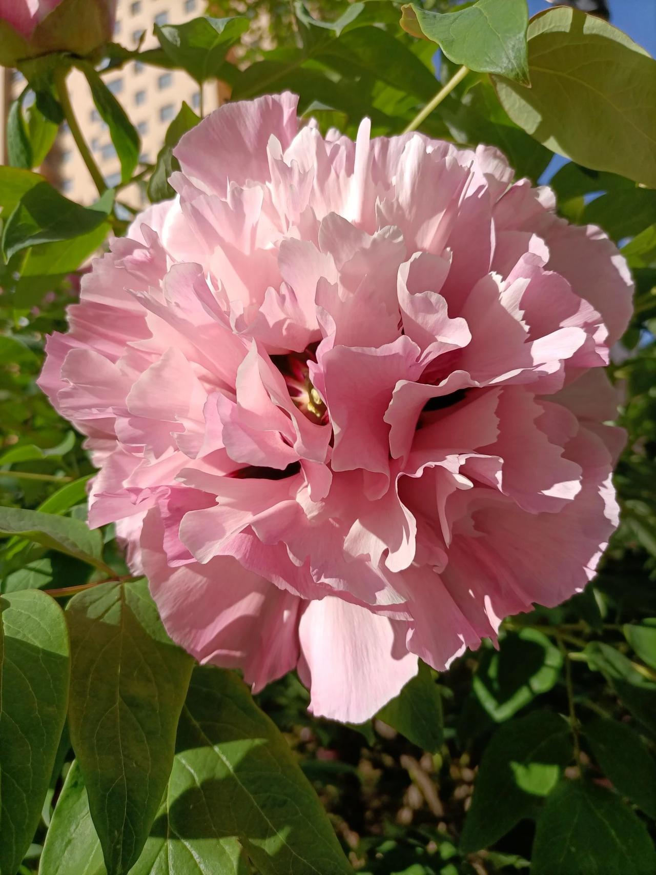 上联:酒中忧愁少，下联:请高手对花下寂寞消