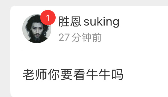 老师天天都有牛牛看 