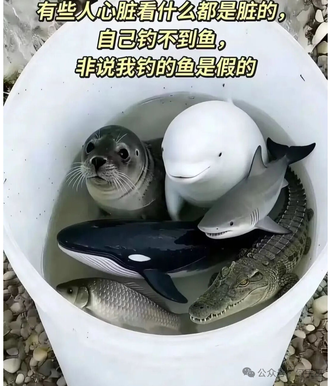 你钓的鱼品种还挺多