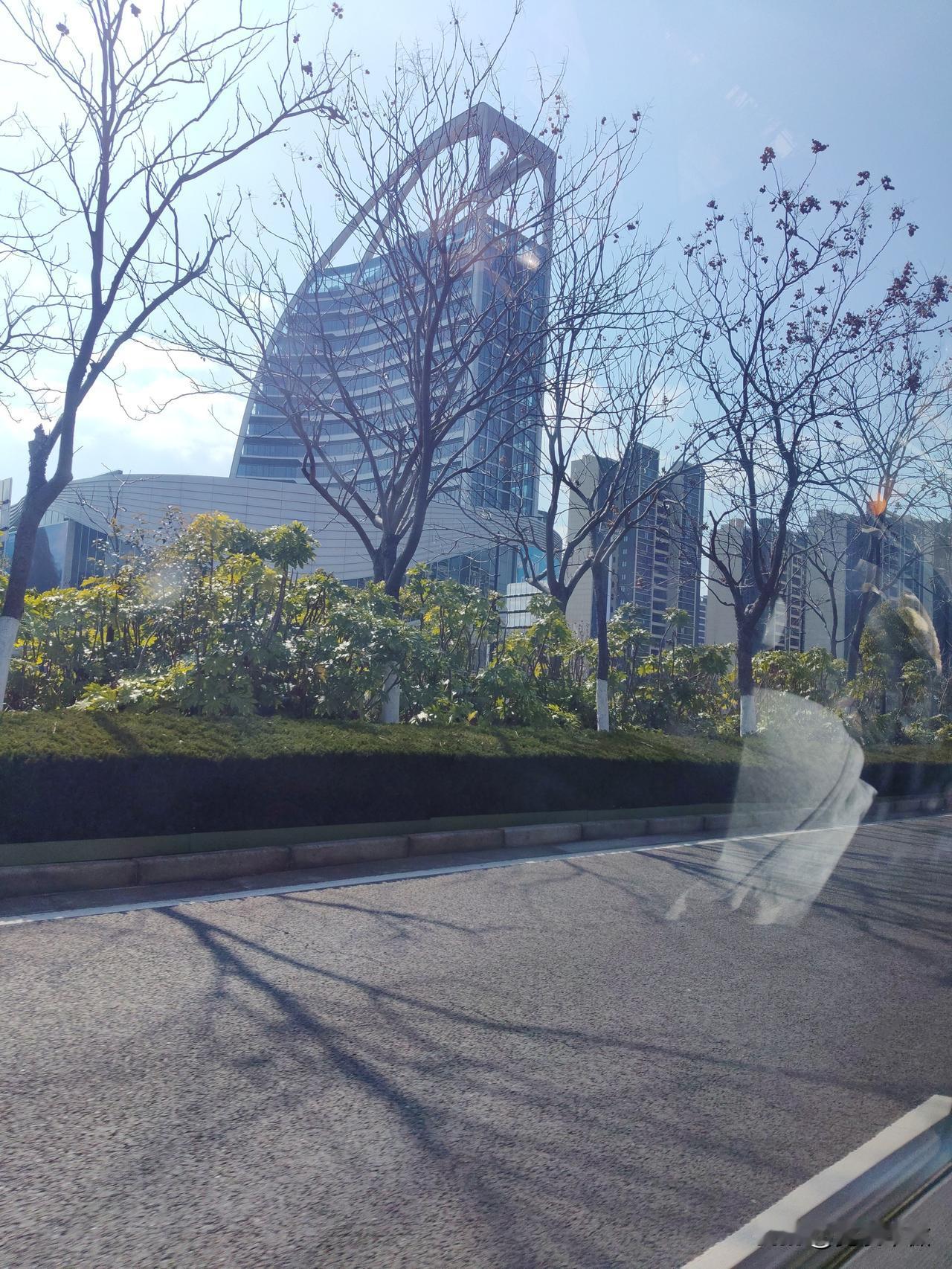 晒图笔记大赛临港新城建筑群