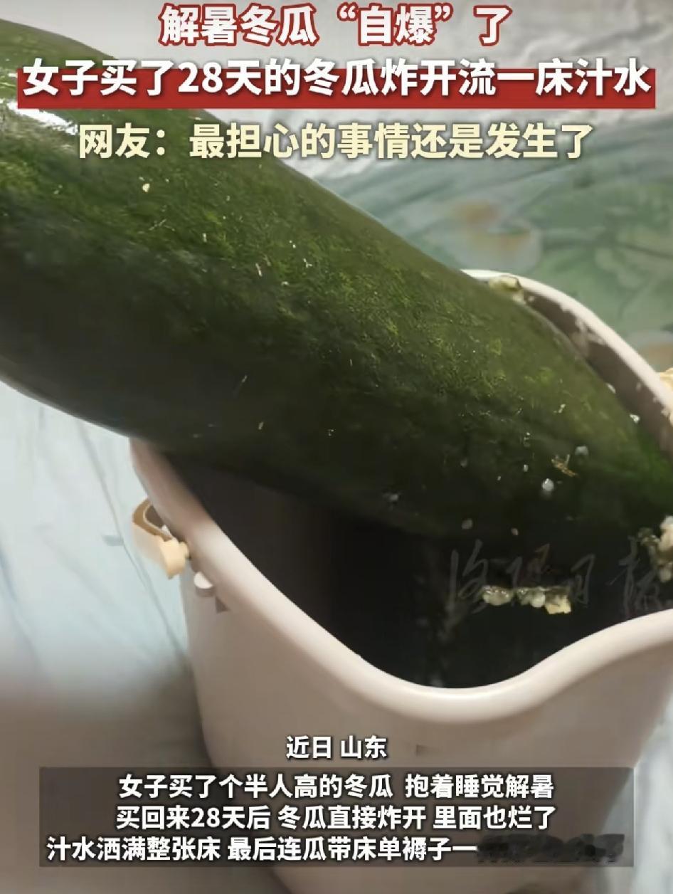 山东一女子一个月前购买了一个大冬瓜抱回家，放在床上抱着睡觉，用来解暑，可是28天