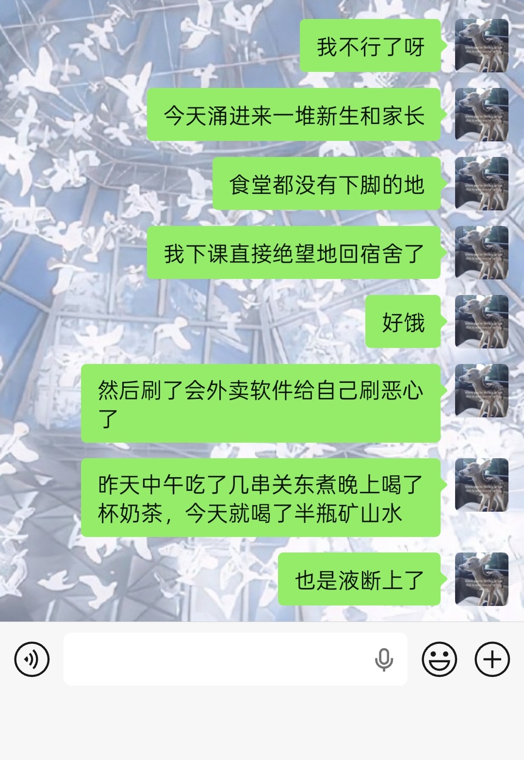 爸爸们我不行了呀 ​​​
