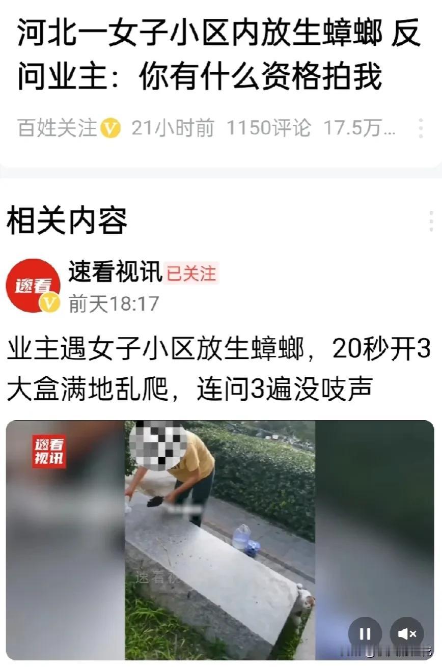 看到这样的视频简直是气炸了，为什么这个女的会有这样的行为呢？真的太可怕了。

河