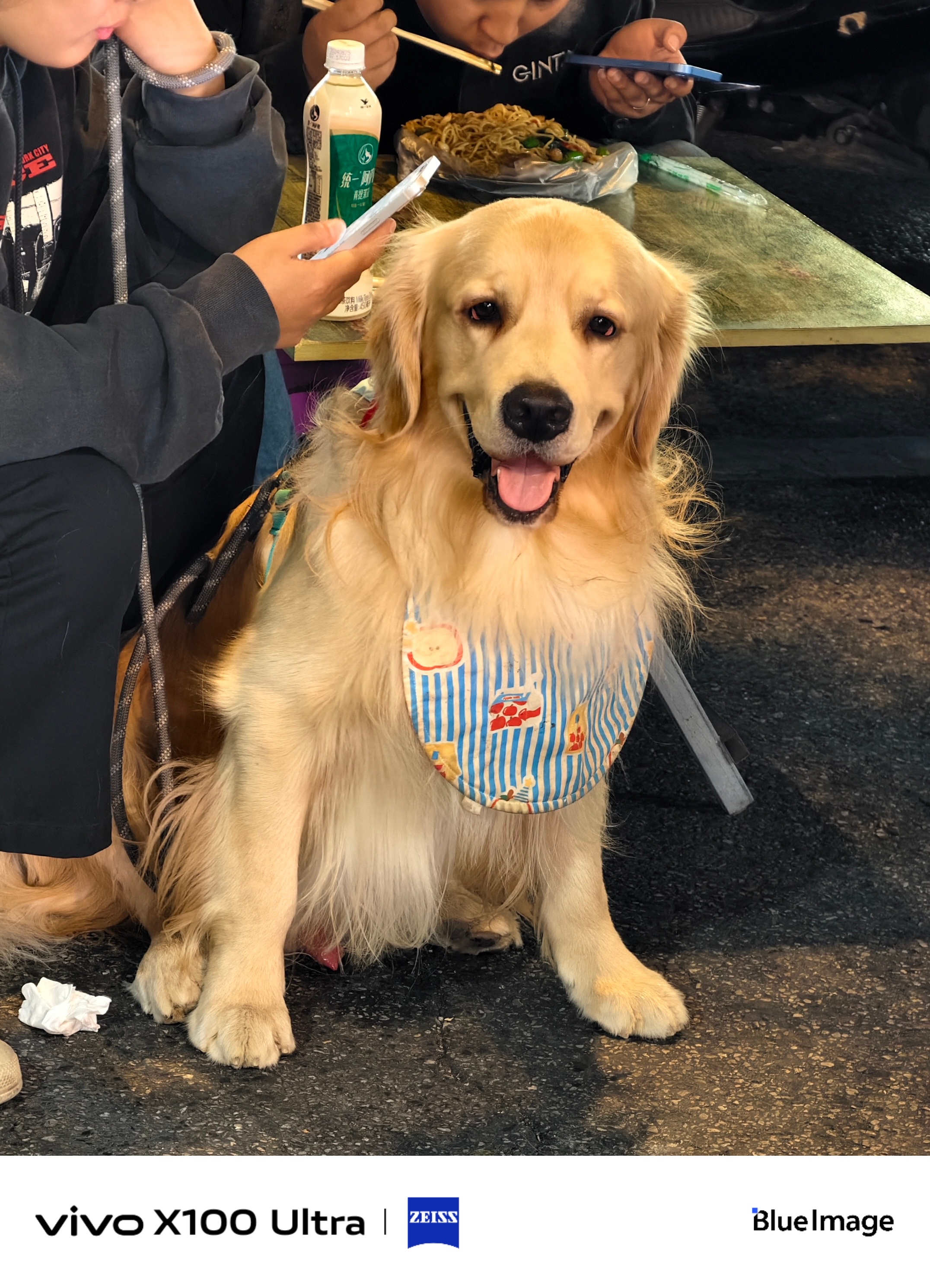 #许嵩西安演唱会#看完演唱会回来偶遇一只开心金毛，吃个宵夜，美好的一天就此结束[