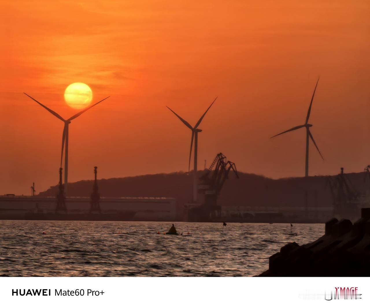 胭脂小朵破寒冰，素影偏宜雪作朋。
一点芳心谁得似？千丝缱绻化春情。