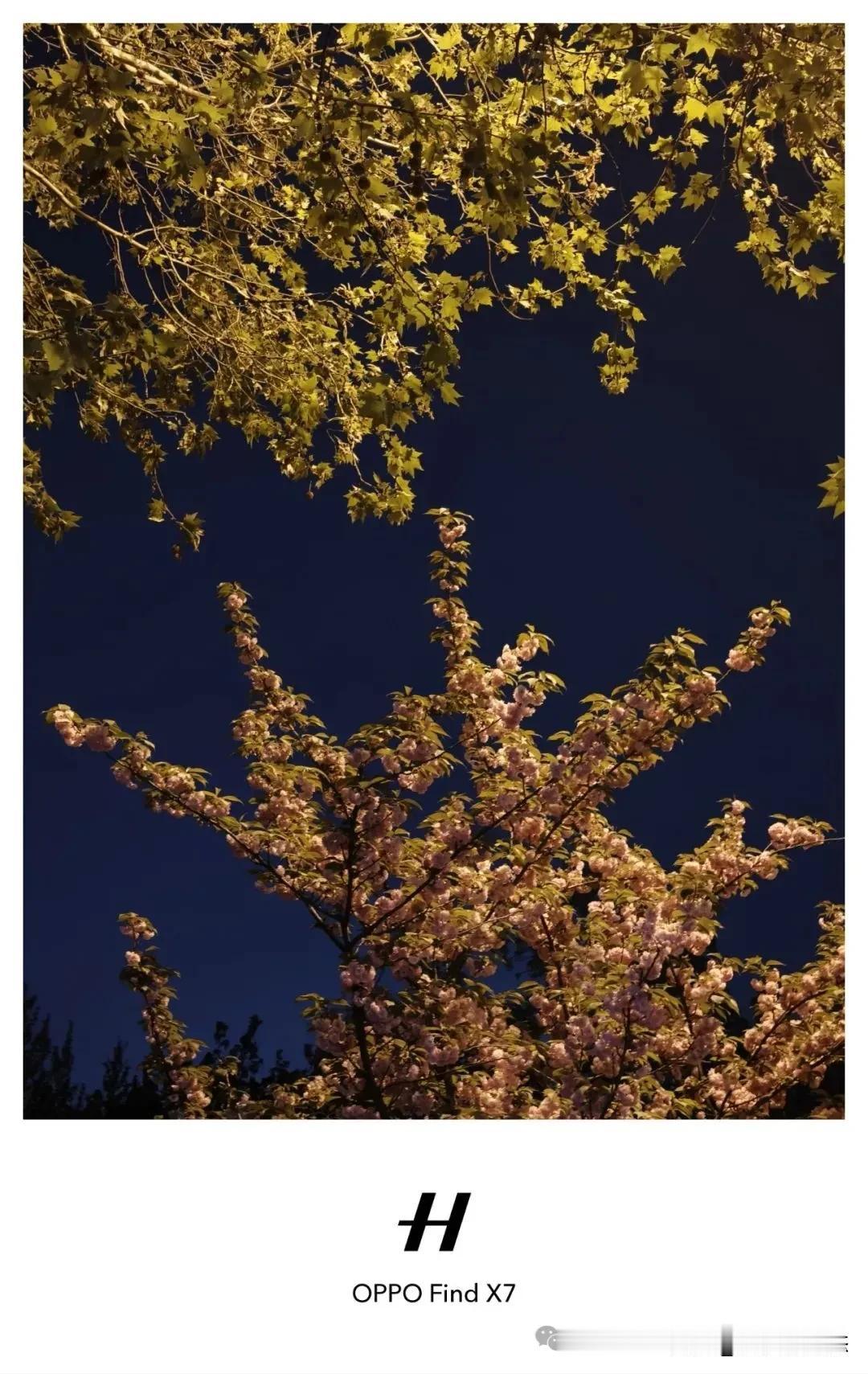 夜晚，每次走在优美、幽静的河堤路上散步，总在想到底是大城市好还是我这三线四线城市