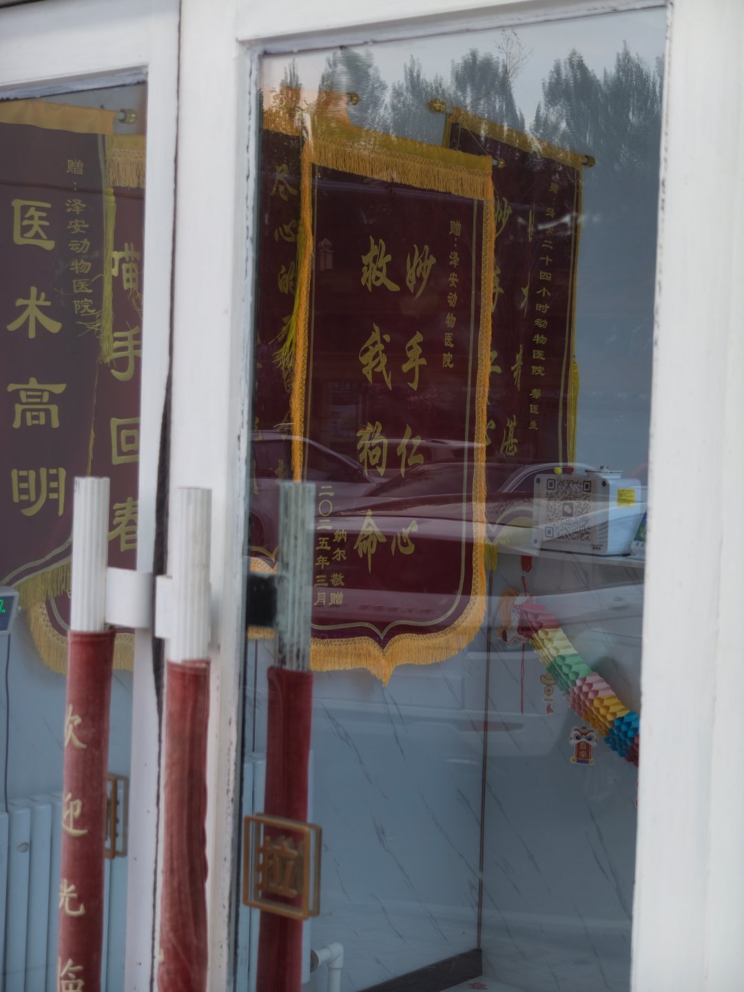 这应该是宠物医院最高的荣誉了吧是