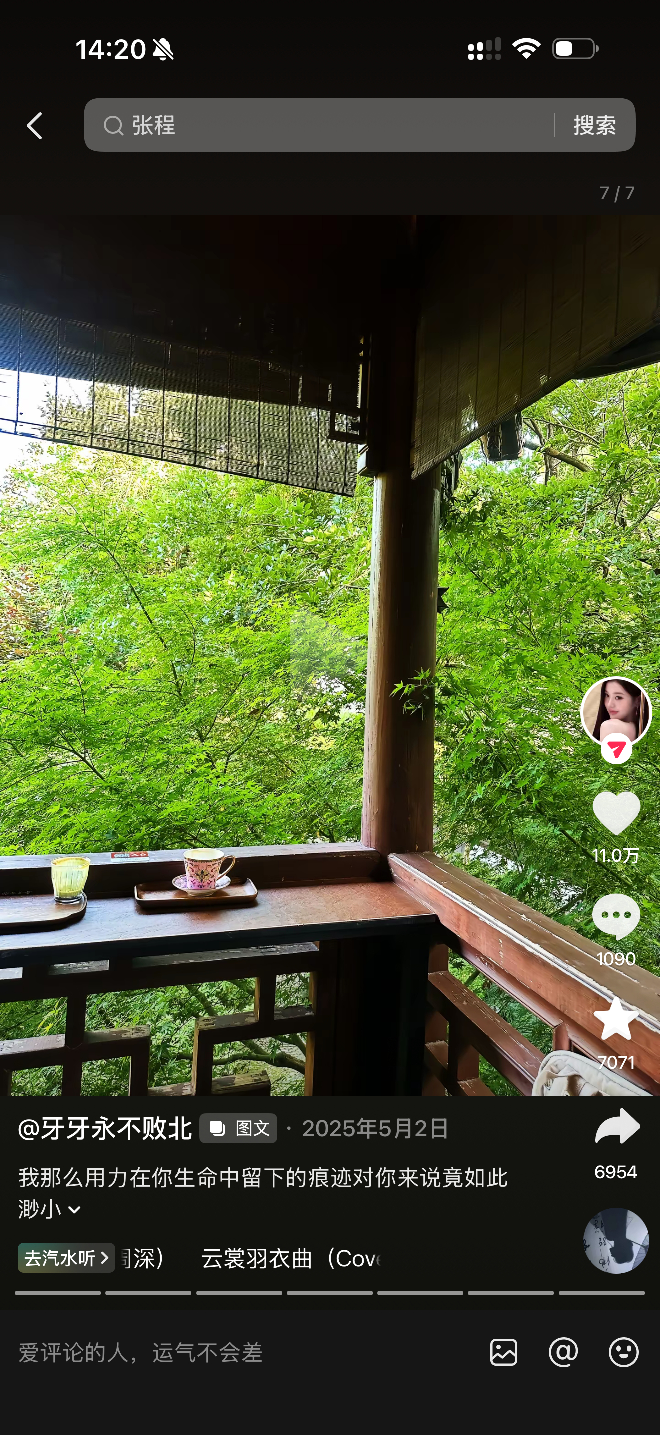 本来前天想去顾宫有喜拍樱花，人！太！多！了！饶是经验丰富如我的出片妹也完全排不进