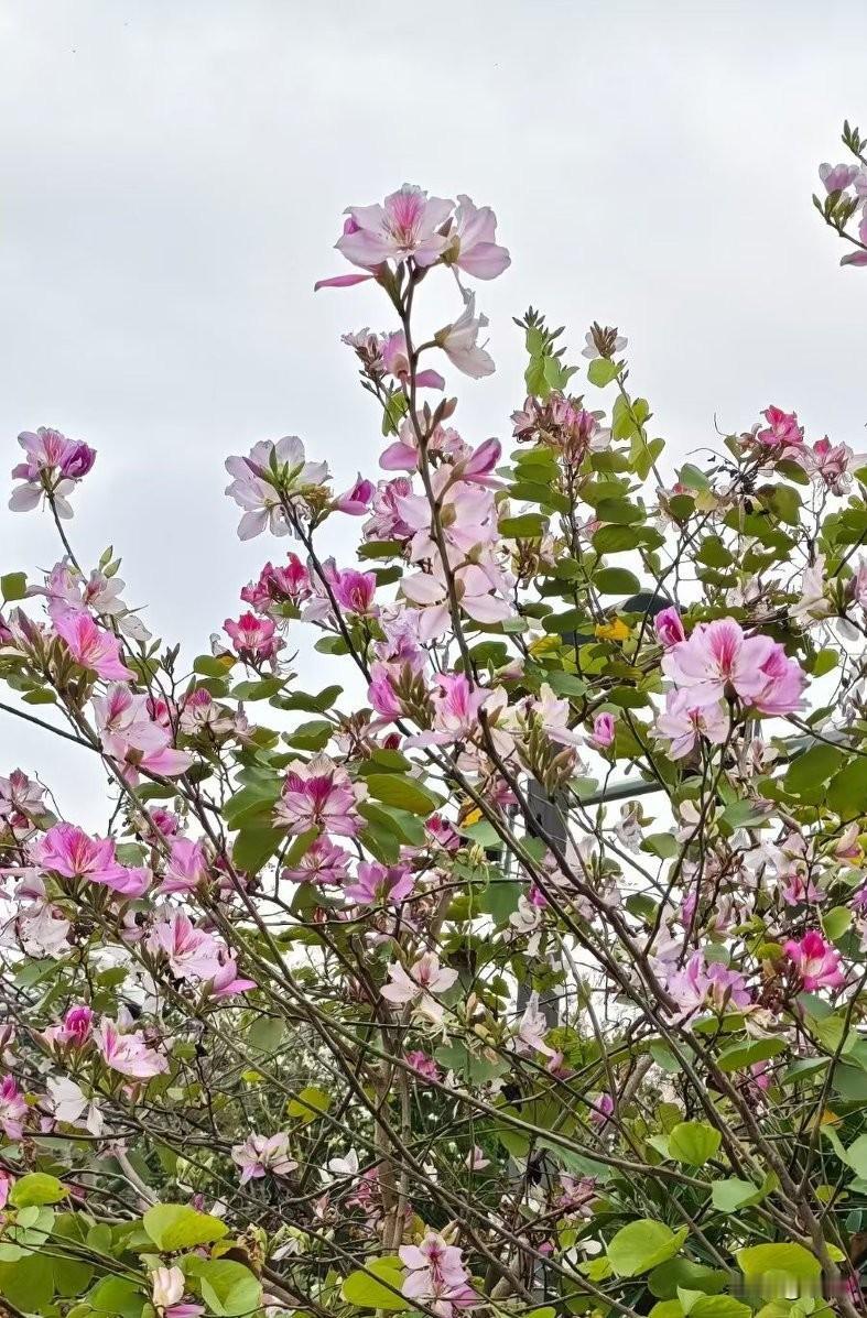 一代进厂，代代进厂，这大概就是普通人最无奈的宿命
 
父母在工厂熬了十几年青春，