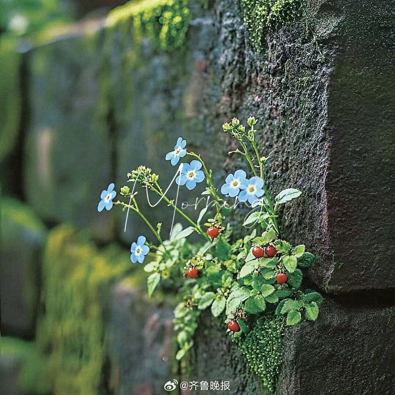 郑重的选择争取不留下遗憾#早安#