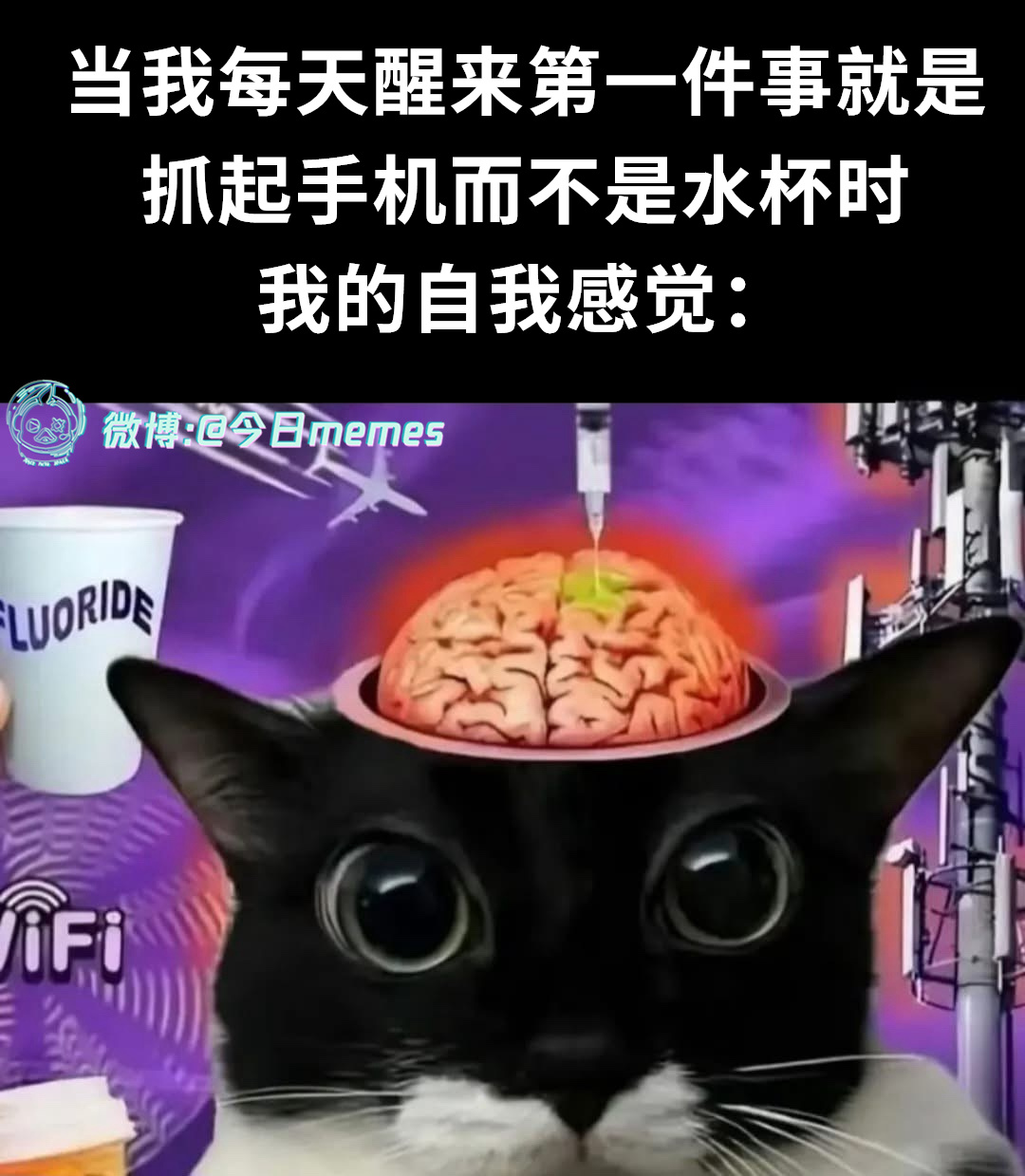 我已是（9gag）今日meme[超话]今日memes ​​​