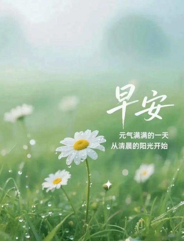 下定决心要做的事，就安安静静去做，一往无前。别回头，只管向前走。毕竟，比我们有钱