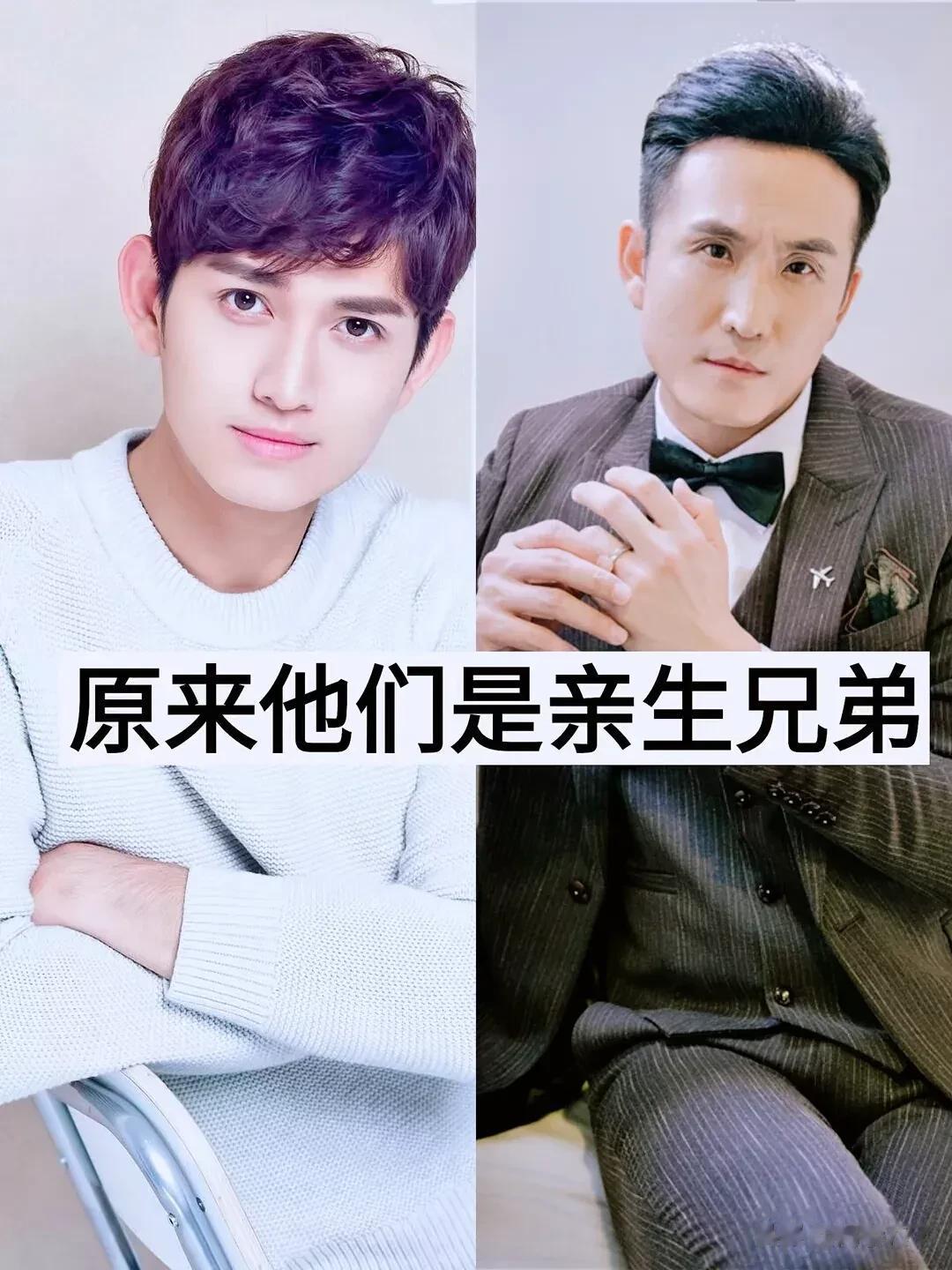原来他们是亲生兄弟啊