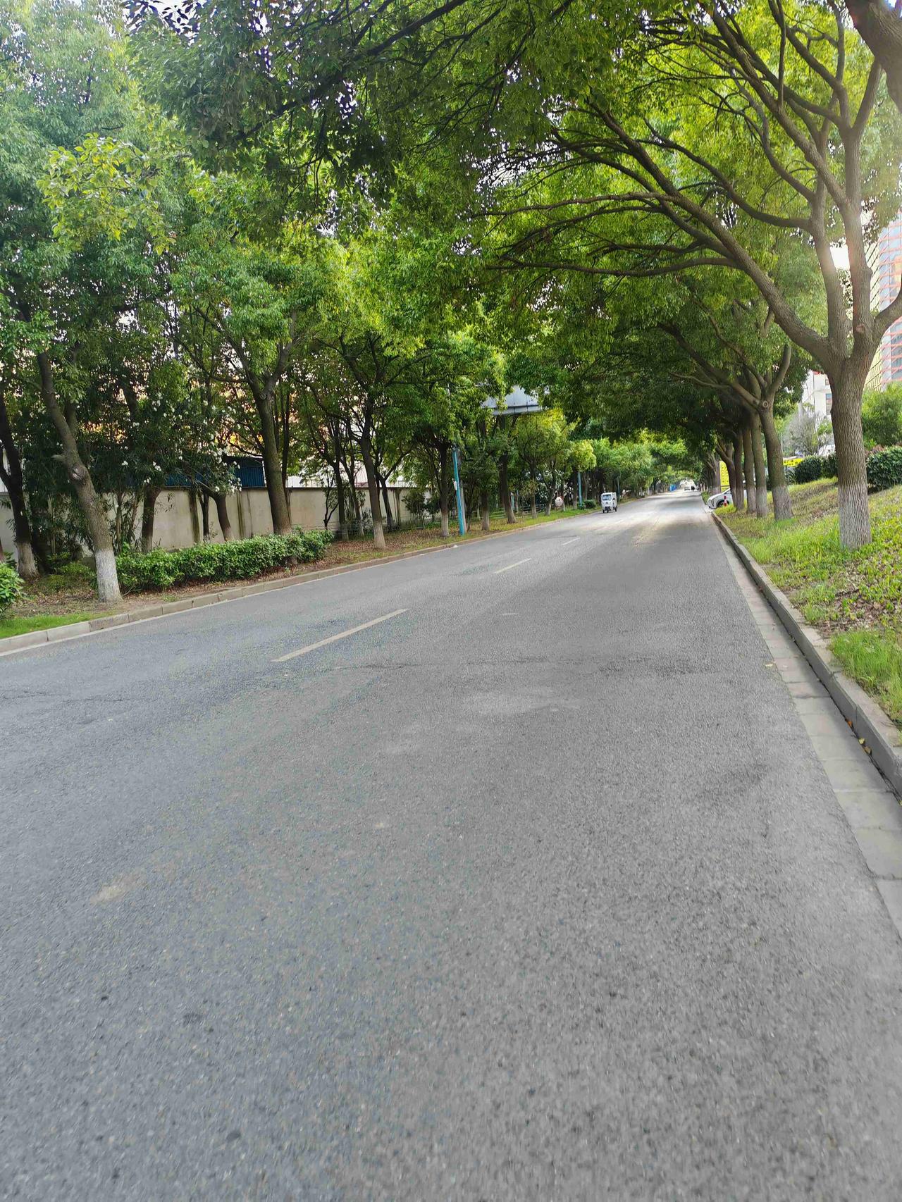 我的今日状态：😁轻松愉快
我这里的天气：☀️晴天