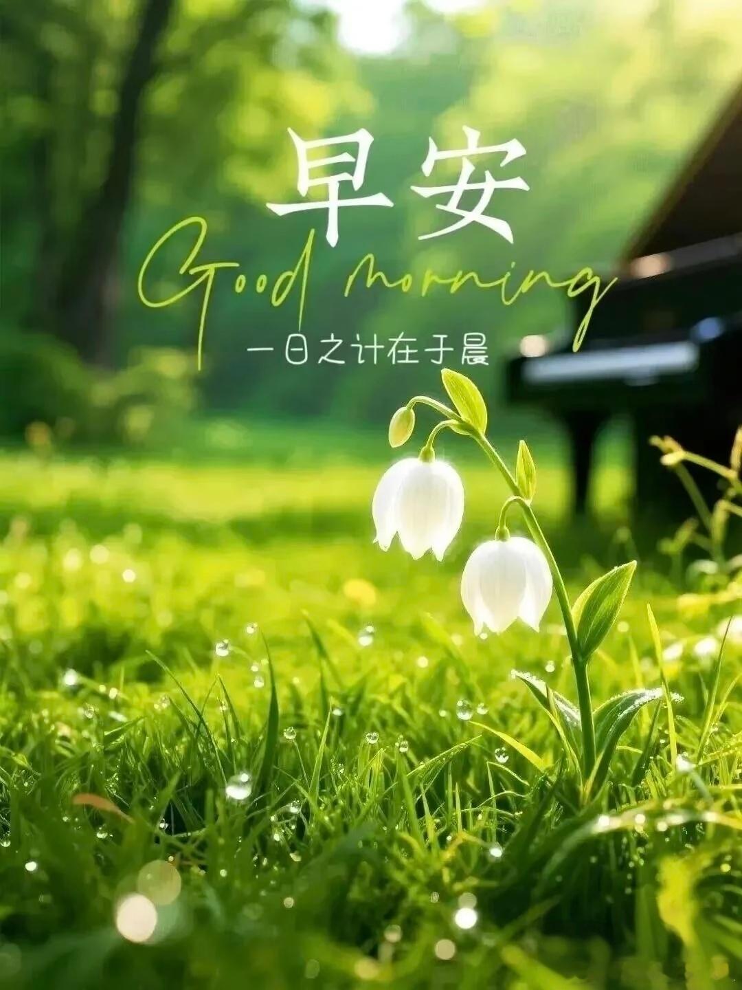 早安[超话]早安 满含期许，迎风启程！把憧憬交给今日，用耕耘静待绽放～新的一天，