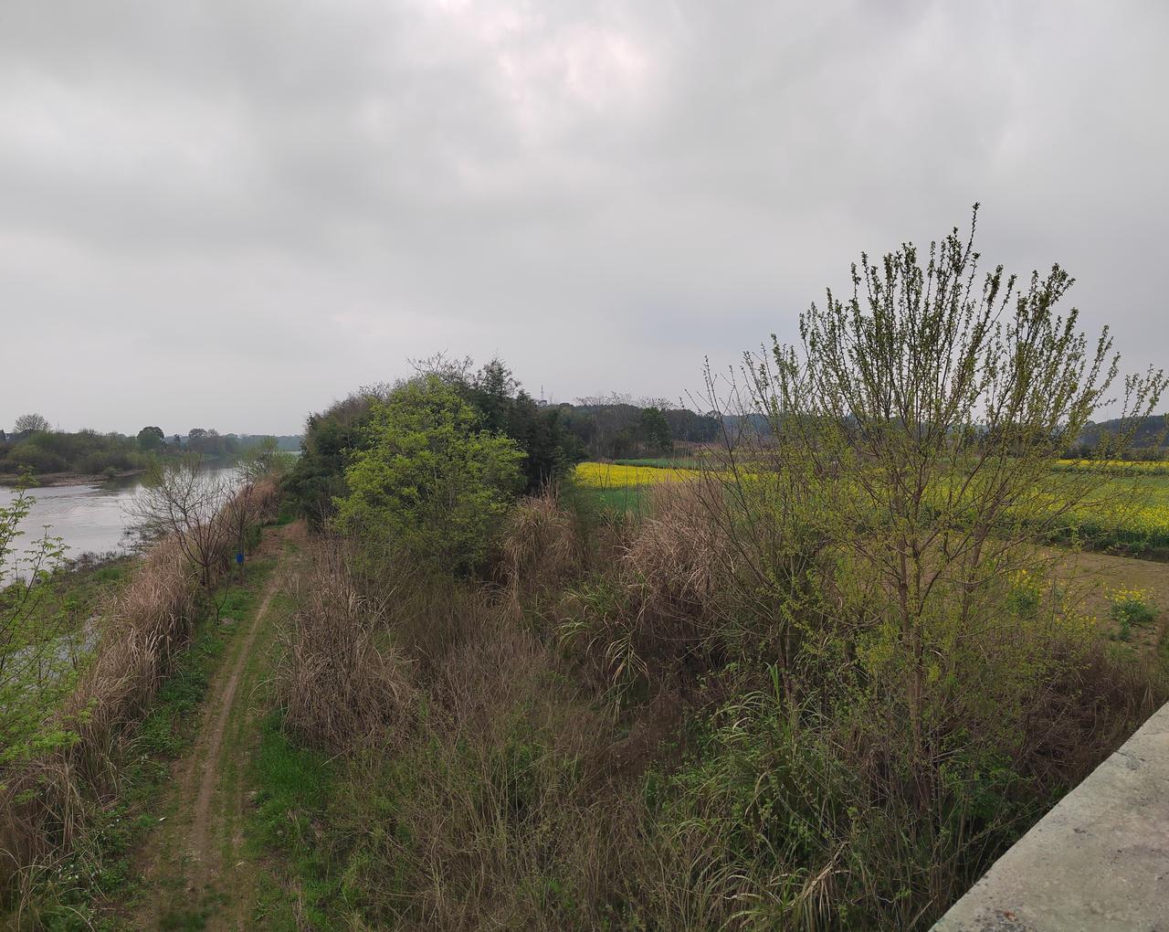 奉新南潦河中游一带，人口密度让人比较舒服

奉新是赣西北的一个中等县，面积164