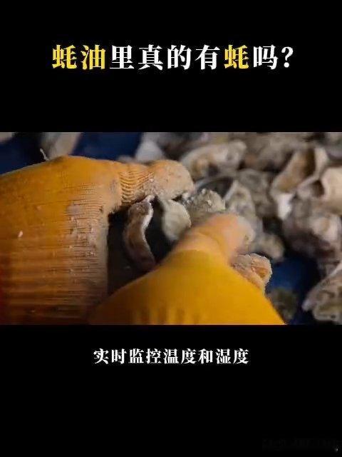 蚝油里真的有蚝吗打破大众对于蚝油的误解，不止有史料文字佐证，蚝油的鲜味传奇实拍生