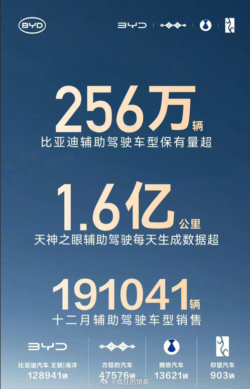比亚迪2025全年销量直接干到 460万辆，不只是中国市场第一，还是全球新能源销