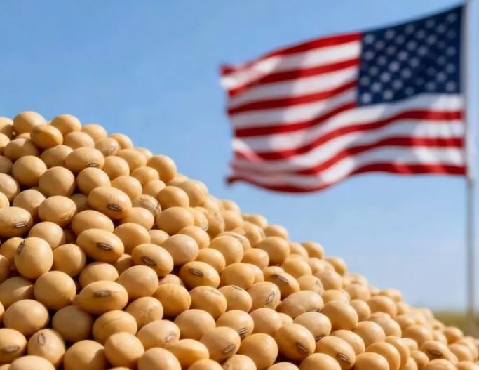 美国军队敢进入台湾，我们就买你美国大豆！如果美军进入台湾十万雄兵！看你美国有多少
