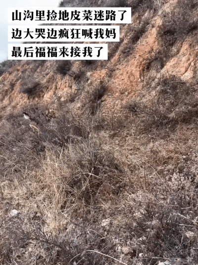 山沟里哭声一片，手机没信号叫天天不应！危急关头，一道毛茸茸的身影冲了过来——自家