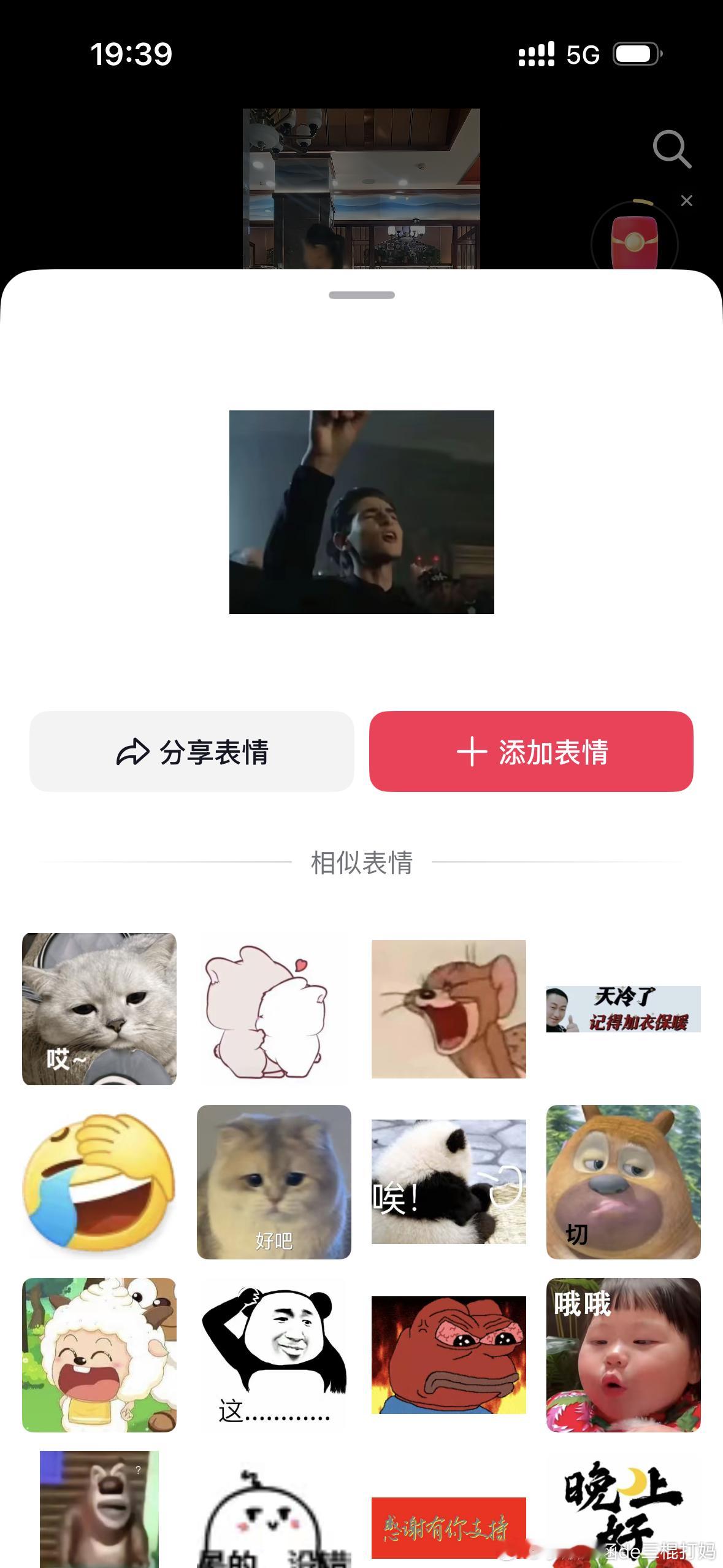 用这个表情包的人斯了 