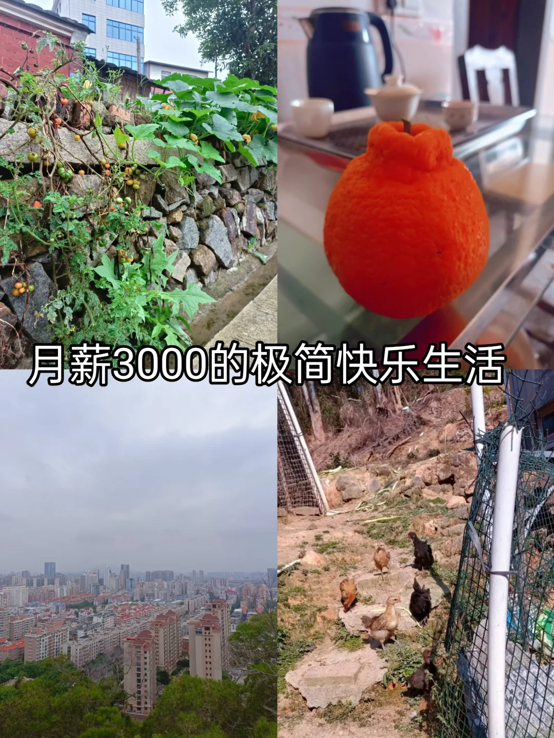 月薪3000的极简生活：简单快乐