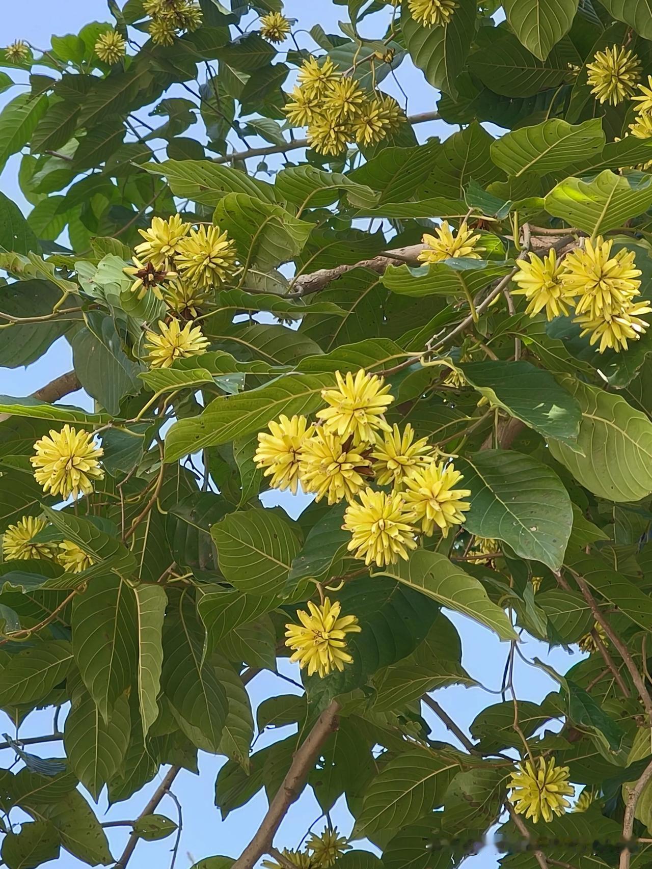 《悟》
浮名富贵暂相携，
躯壳百年终为泥。
独有心中真意趣，
历经风雨不曾移。
