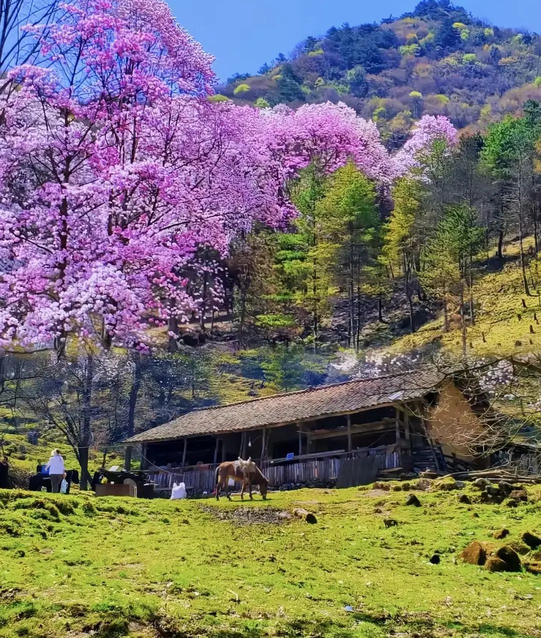 朋友外婆九十岁，退休金攒了半辈子，去年非要买套便宜得离谱的老宅。

中介说死过人