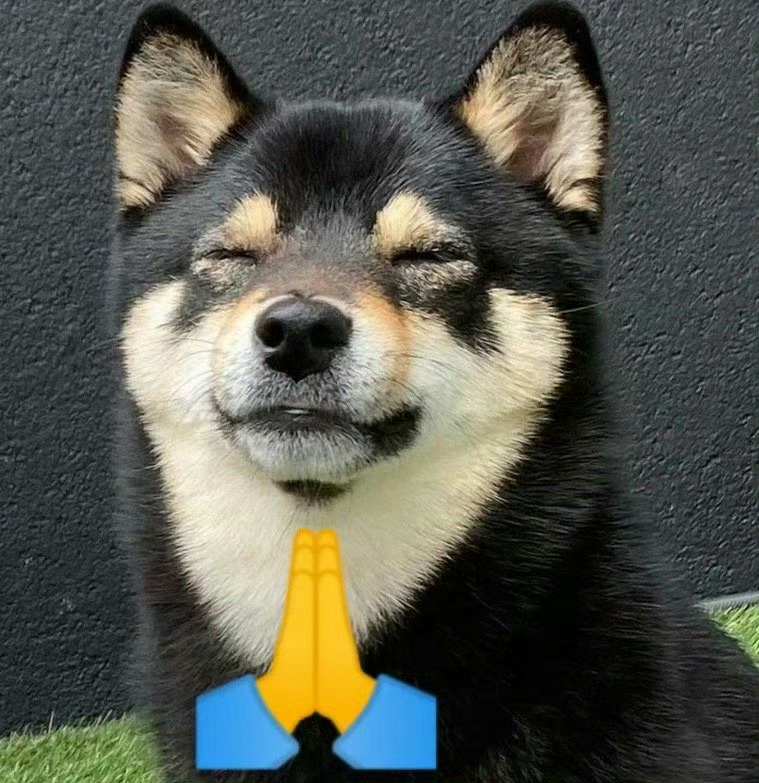 小狗祝你所愿皆所得✨ 